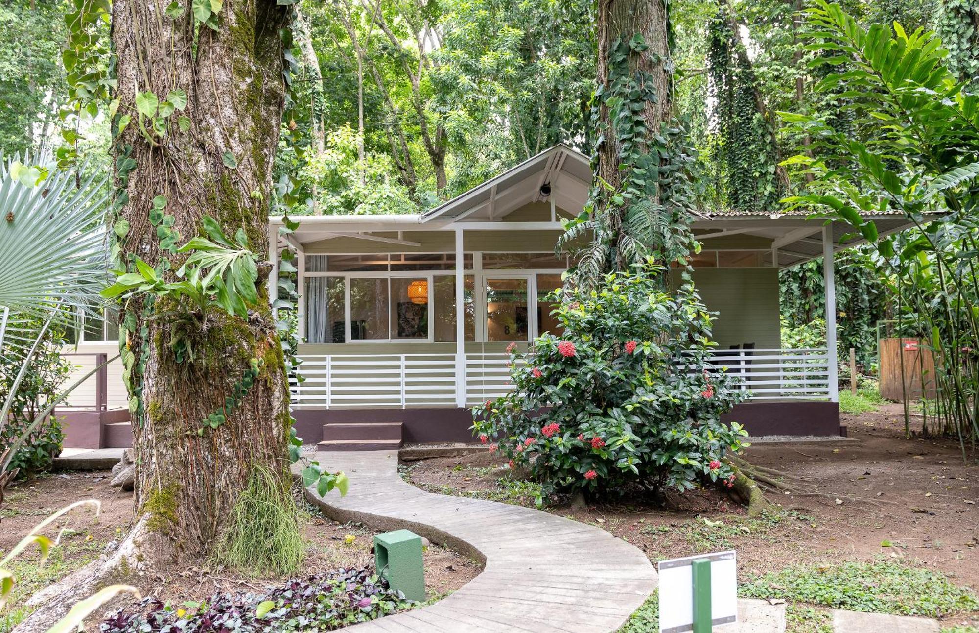 Jaguar Inn Bungalows Puerto Viejo de Talamanca Luaran gambar