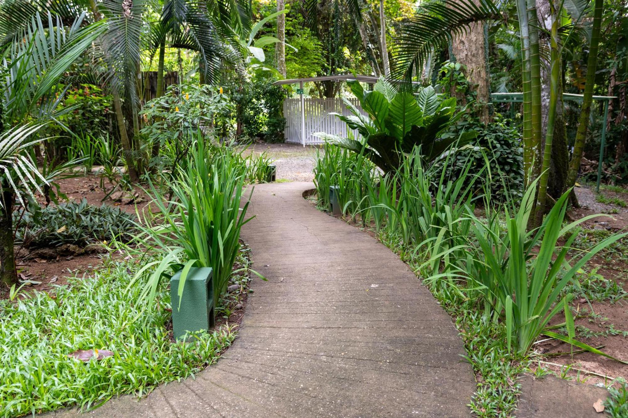 Jaguar Inn Bungalows Puerto Viejo de Talamanca Luaran gambar