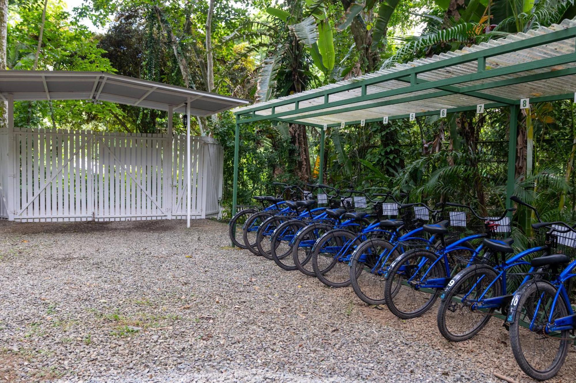 Jaguar Inn Bungalows Puerto Viejo de Talamanca Luaran gambar