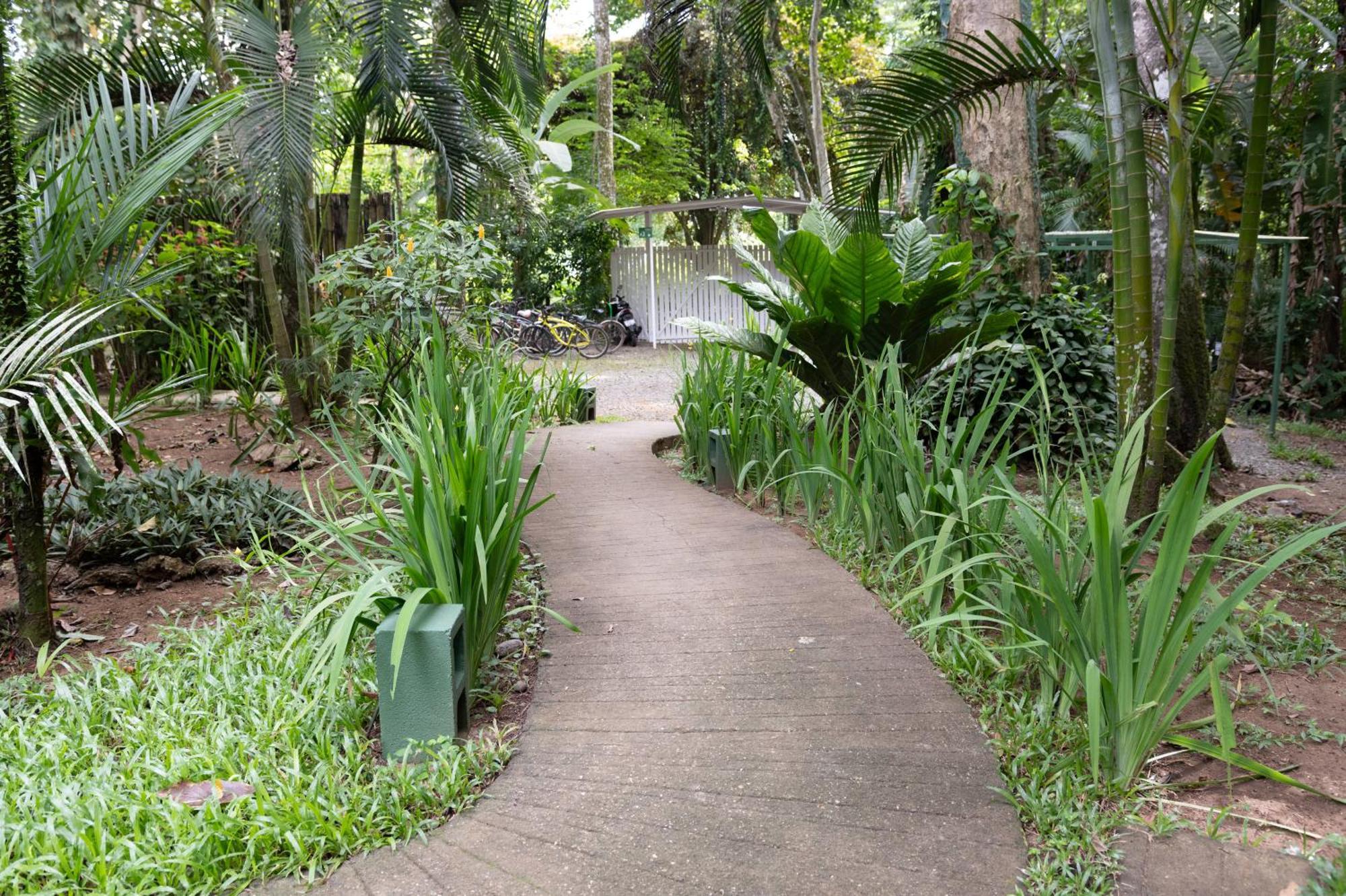 Jaguar Inn Bungalows Puerto Viejo de Talamanca Luaran gambar