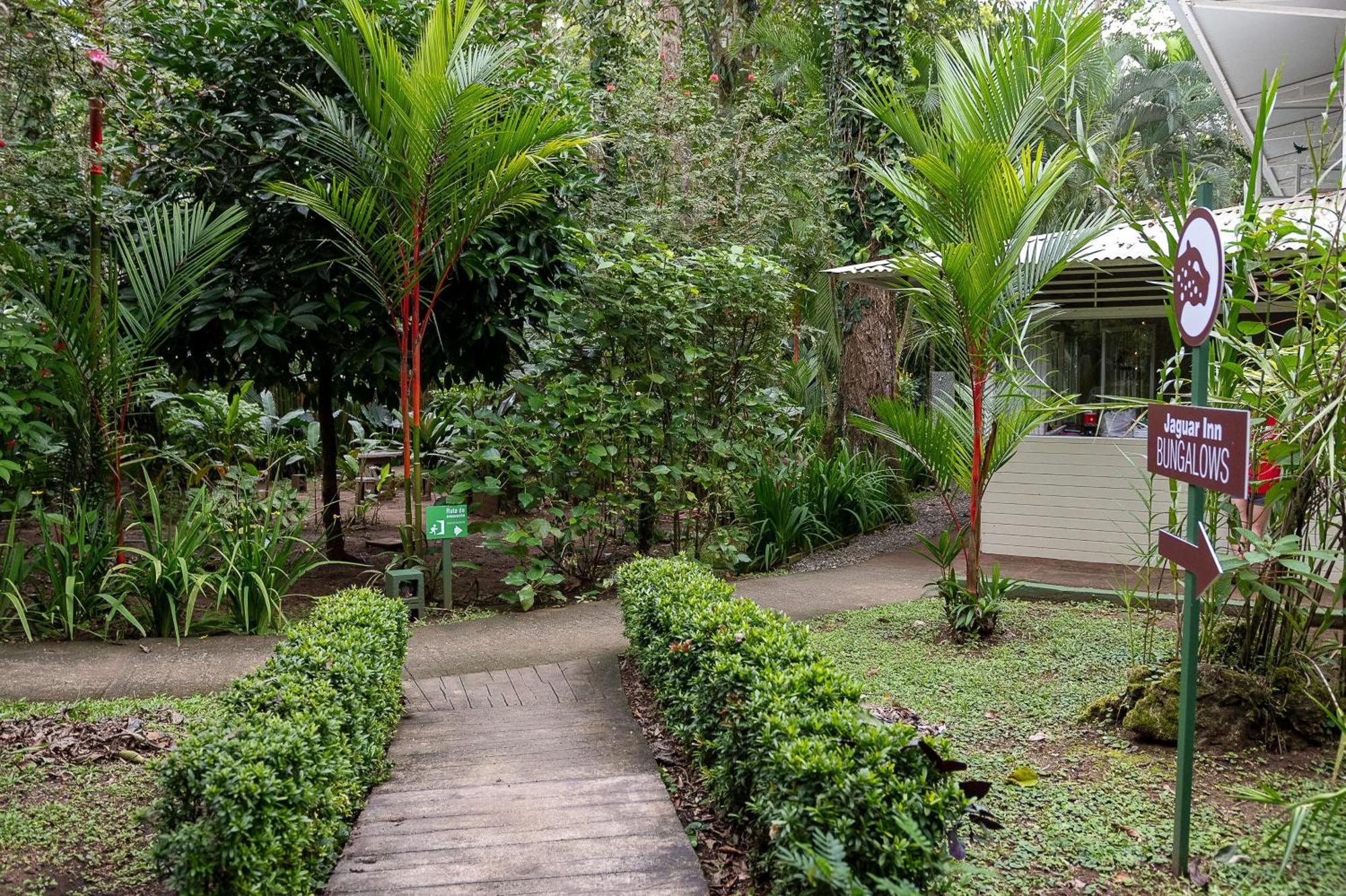 Jaguar Inn Bungalows Puerto Viejo de Talamanca Luaran gambar
