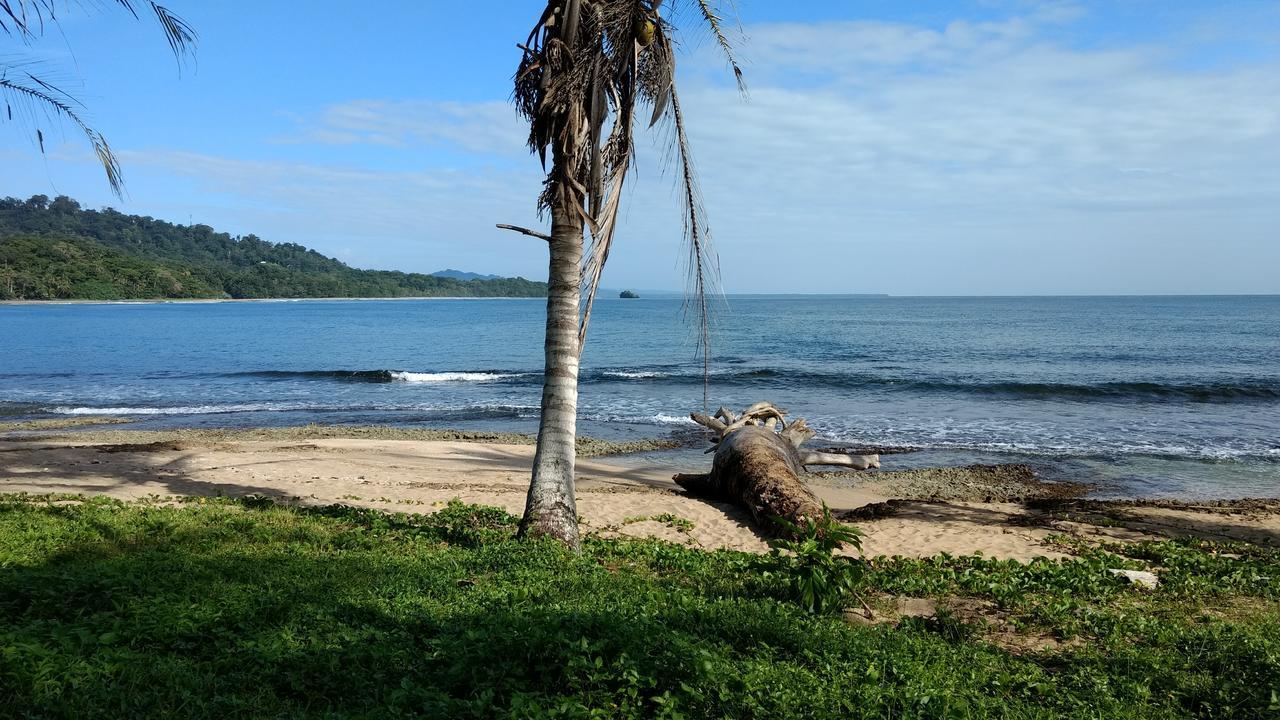 Jaguar Inn Bungalows Puerto Viejo de Talamanca Luaran gambar